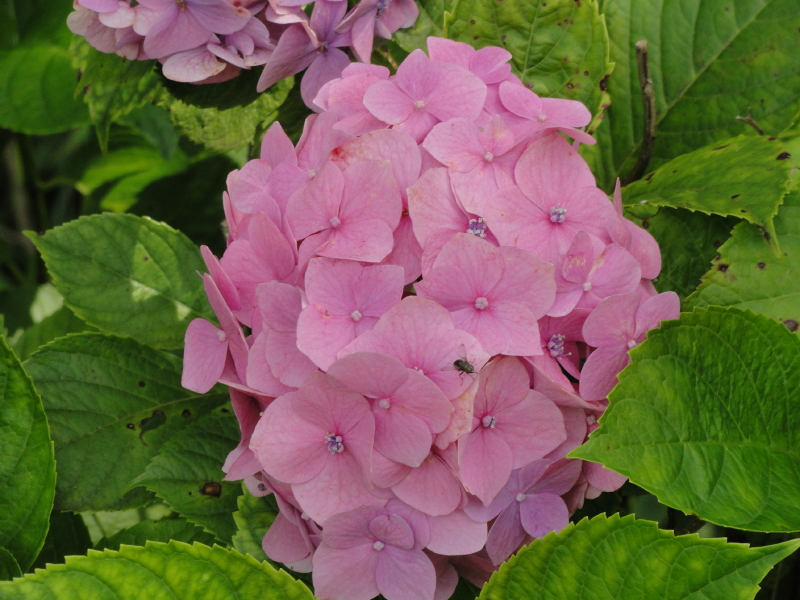 img0102.jpg