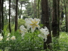 img0028.jpg