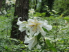 img0032.jpg