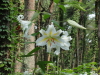 img0034.jpg