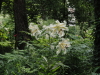 img0047.jpg