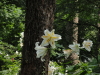 img0048.jpg