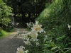 img0049.jpg