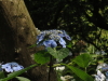 img0055.jpg