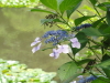 img0058.jpg