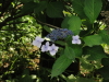 img0059.jpg