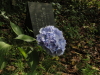 img0061.jpg
