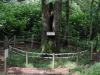 img0065.jpg