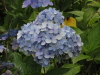 img0080.jpg