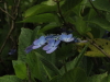 img0083.jpg