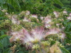 img0090.jpg