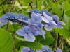 img0100.jpg
