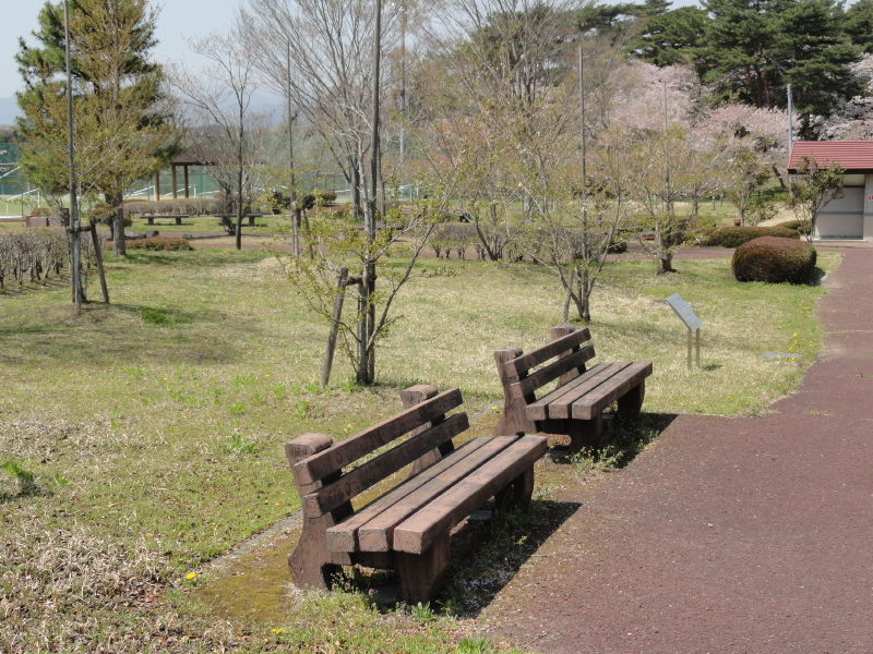 img0003.jpg
