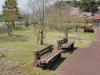 img0003.jpg