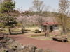 img0005.jpg