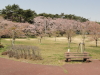 img0011.jpg