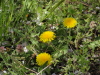 img0012.jpg