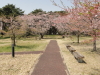 img0027.jpg