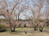 img0030.jpg