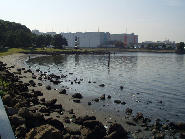 img0006.jpg