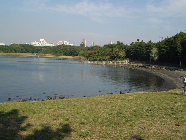 img0007.jpg