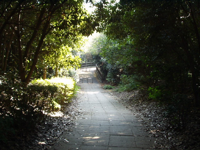 img0010.jpg