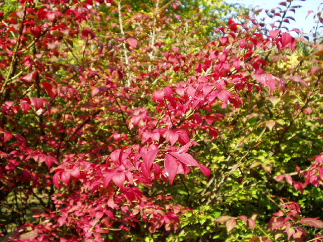 img0015.jpg