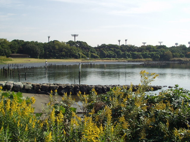 img0018.jpg
