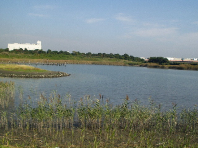 img0019.jpg