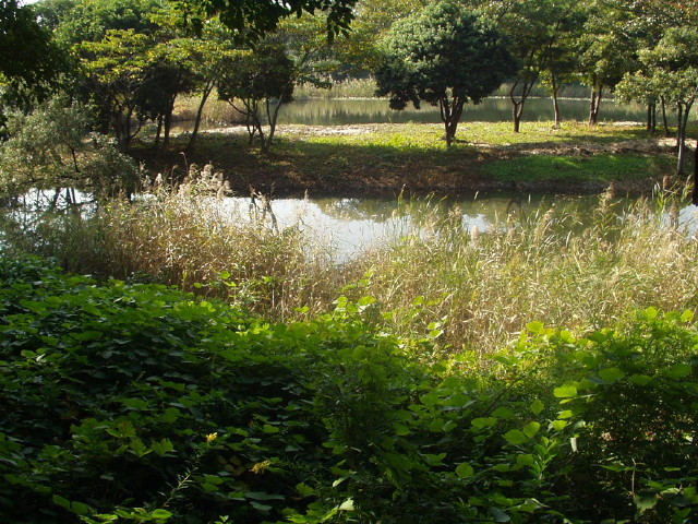 img0021.jpg