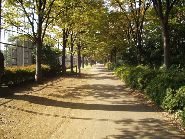 img0023.jpg
