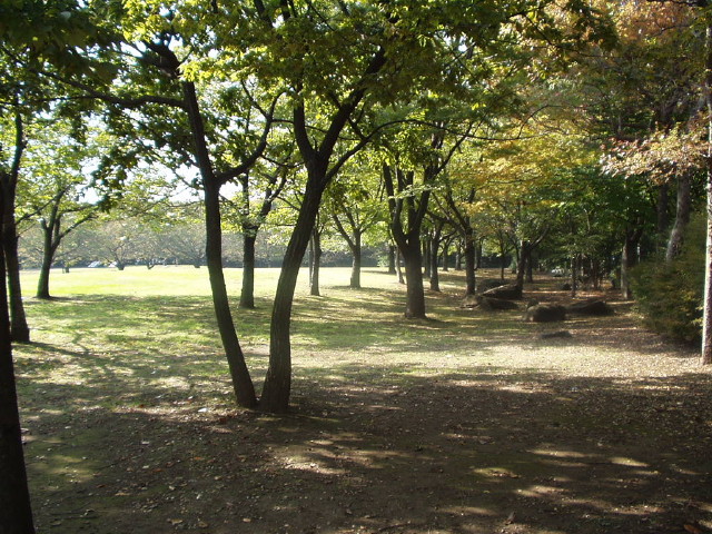 img0030.jpg