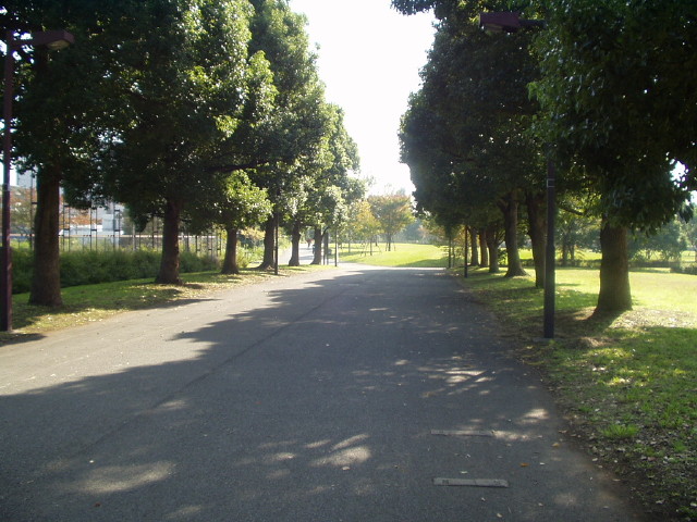img0031.jpg