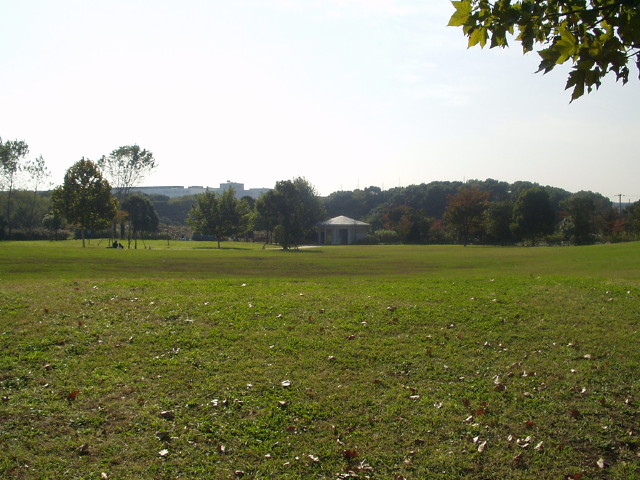 img0033.jpg