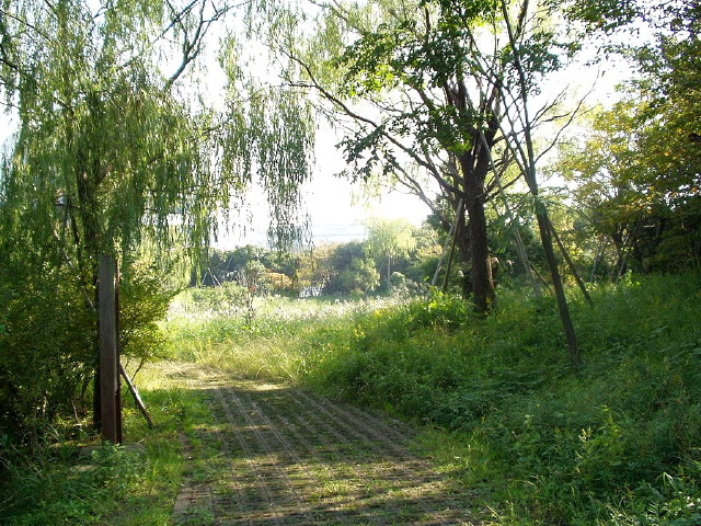 img0034.jpg