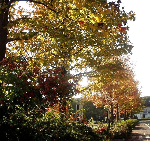 img0035.jpg