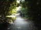 img0010.jpg