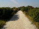 img0014.jpg