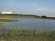 img0019.jpg