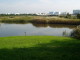 img0020.jpg