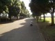 img0024.jpg