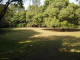 img0026.jpg