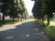 img0031.jpg