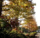 img0035.jpg