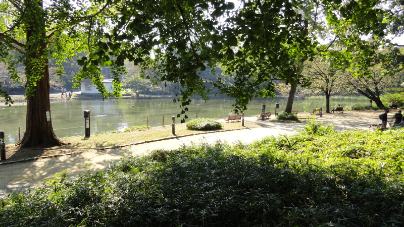img0001.jpg