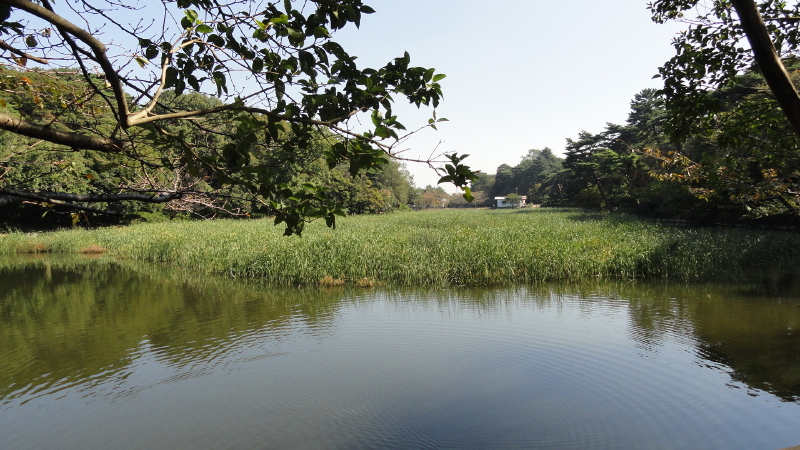 img0003.jpg