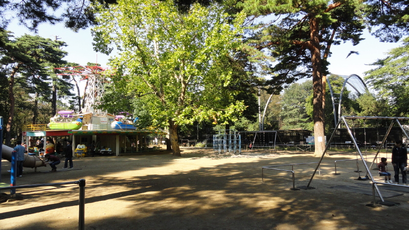 img0010.jpg