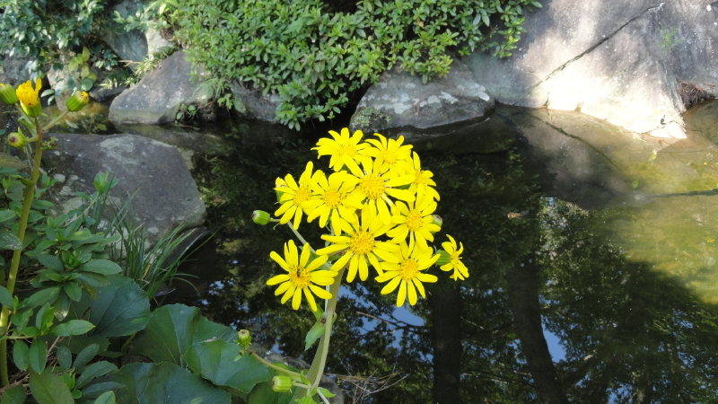 img0014.jpg