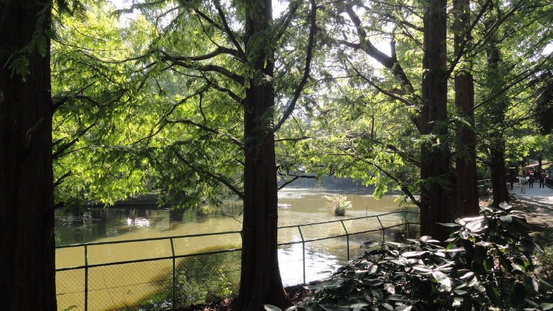 img0019.jpg