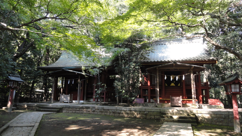 img0029.jpg